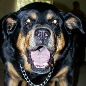 Meet your Posher, Eby